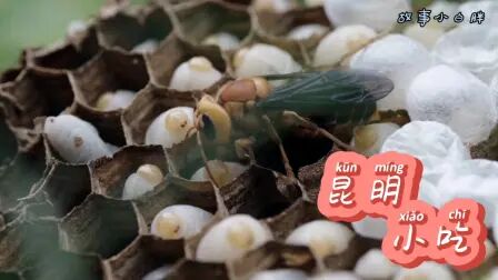 [图]纪录片《奇食记》昆明三小吃