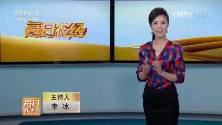 [图]CCTV-7《每日农经》 20170509 摘不完的韭菜花 赚不完的钱