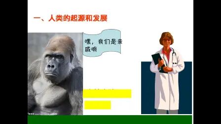 [图]七年级生物下册第四单元第一章人的由来复习课