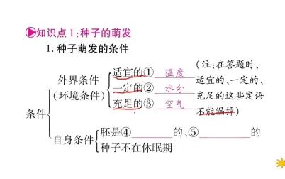 [图]七年级上册 第三单元 第二章 被子植物的一生