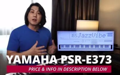 [图]【电子琴】Yamaha PSR- E373/EW310 评测试听