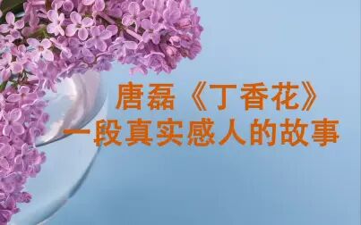 [图]#唐磊#丁香花#凄美#感人 《丁香花》背后的故事