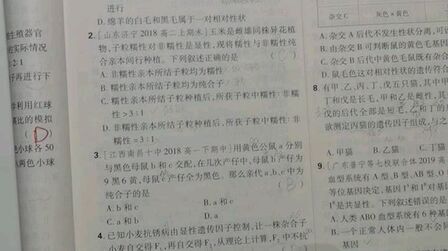 [图]孟德尔的豌豆杂交实验 必刷题03