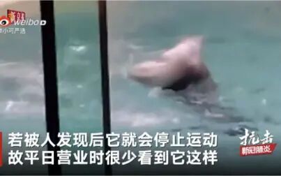 [图]水族馆因疫情关闭至今 无游客 馆内罕见景象曝光