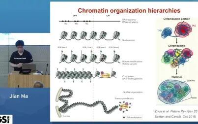 [图]三维/3D基因组︱Jian Ma: Comparing 3D Genome Organization