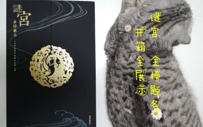 [图]谜宫 金榜题名 珍藏版 开箱全展示