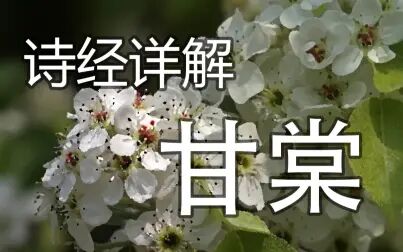 [图]【诗经详解】甘棠