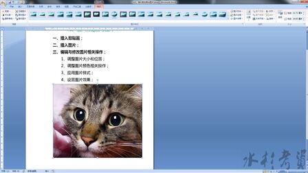 [图]Office Word 2007 零基础 从入门到精通1