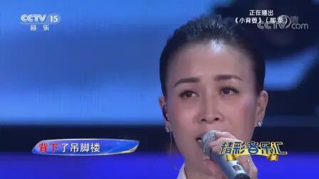 [图][精彩音乐汇]歌曲《小背篓》_演唱-那英