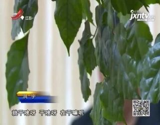 [图]20180623 直播盒子里的秘密