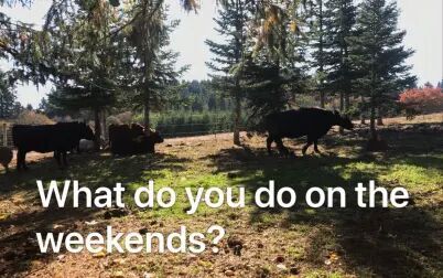 [图]What do you do on weekends?