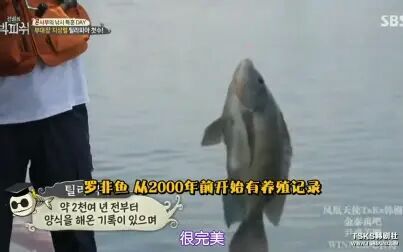 [图]【传说中的BigFish】《钓巨型大鱼的节目》~持续更新中~