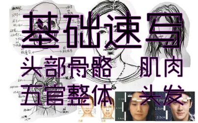 [图]【零基础速写】基础速写 头部骨骼、肌肉名称 头发画法 女头画法