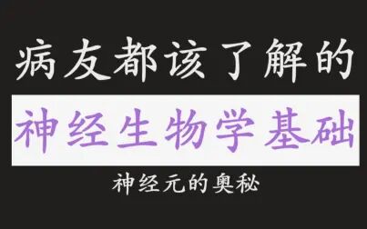 [图]人人都该了解的神经生物学基础——【精神分析入门】