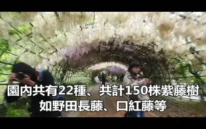 [图]世界上10大最美的地方