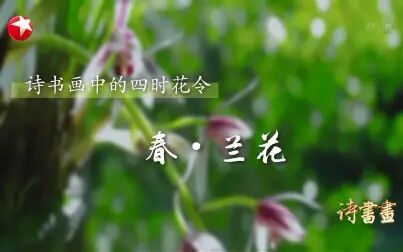 [图]【诗书画】第112期 四时花令·春·兰花 《感遇三十八首》(其二)...