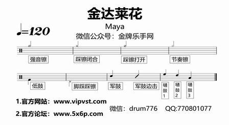 [图]【金牌乐手】517.Maya - 金达莱花 鼓谱 动态鼓谱