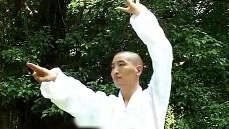 [图]禅太极——禅拳