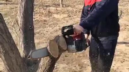 [图]chainsaw