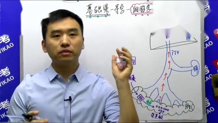 [图]2021临床执业医师【昭昭医考】基础导学课--细胞