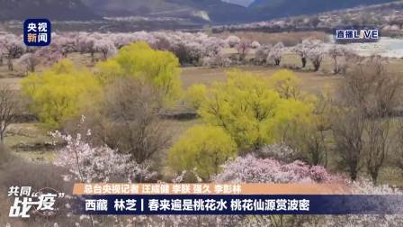 [图]云赏春:阳春三月 百花报信唤新时