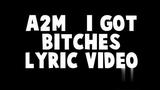 [图]A2M - I Got Bitches Lyric Video