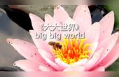 [图]big big world《大大世界》