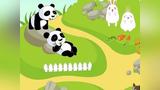 [图]歌曲 Animals,animals are everywhere