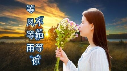 [图]伤感情歌《等风等雨不如等你》是你拨动我的心弦,给你一生的爱恋