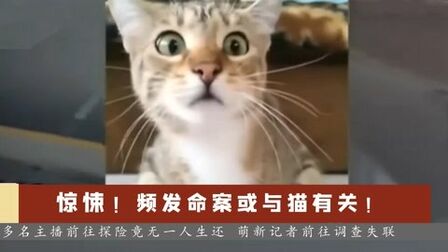 [图]惊悚!废弃学校内发生多起主播失踪案!RPG恐怖解密《猫不语》