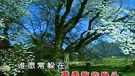 [图]许美静 - 阳光总在风雨后 - 校园歌曲