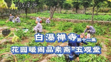 [图]素斋茶饭静心品 花草禅踪五观堂