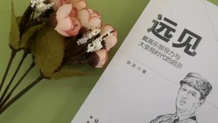 [图]从戴高乐的“远见”中解读当代企业的发展