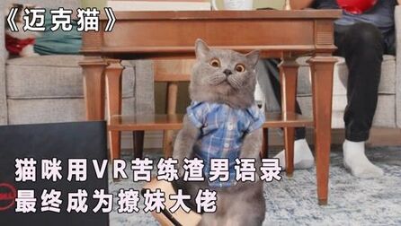 [图]猫咪用VR苦练渣男语录,最终成为撩妹大佬,萌宠短片《迈克猫》