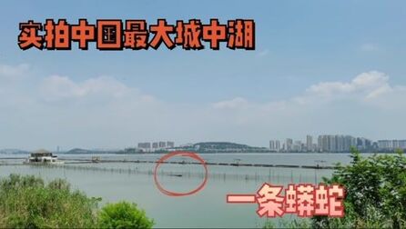 [图]实拍中国最大的城中湖,一条“蟒蛇”在湖面上穿梭着,太神奇了