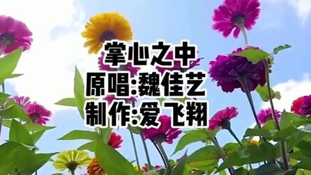 [图]魏佳艺《掌心之中》你会不会捧我在掌心之中,让我与你一路同行