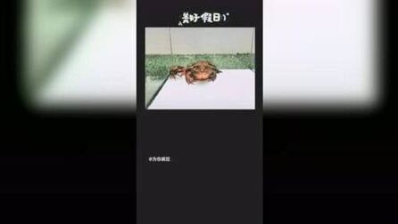 item.title
