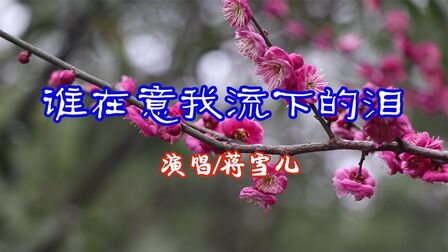 [图]蒋雪儿一首抖音热歌《谁在意我流下的泪》,歌声让人心碎,太好听