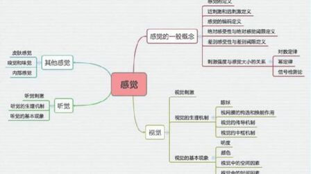 [图]心理学研究生解答心理学考研专业课基础知识点