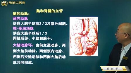 [图]临床知识01解剖学09神经系统06脑和脊髓的血管的组成和功能特点