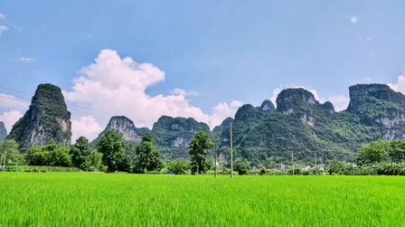 [图]夏天的味道~