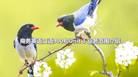 [图]商务英语口语900句Unit 3业务范围介绍怎么用英语表达外贸必学