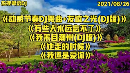 [图]热搜粤语DJ《动感节奏DJ舞曲+友谊之光(DJ版)》《她走的时候》