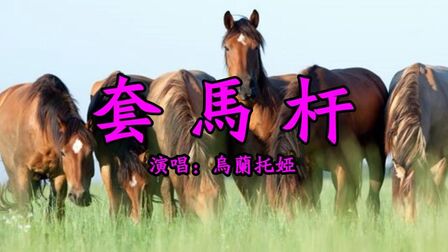 [图]乌兰托亚经典《套马杆》套马的汉子你威武雄壮 飞驰的骏马像疾风