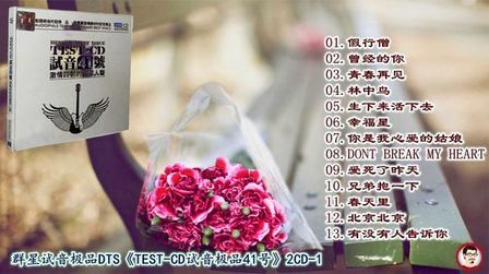 [图]群星试音极品DTS-《TEST-CD 试音41号》2CD1[WAV分轨]