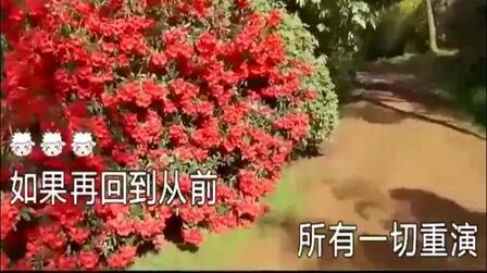 [图]张镐哲一首经典歌曲《再回到从前》好听极了