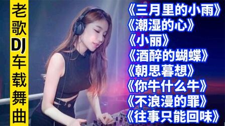 [图]经典老歌DJ,怀旧音乐,最火劲爆车载DJ舞曲《三月里的小雨》小丽