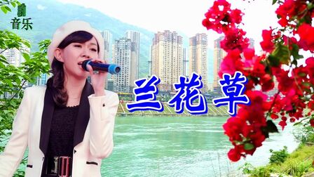 [图]卓依婷一首《兰花草》悠扬动听,美好的回忆,真好听!