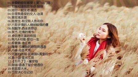 [图]一人一首成名曲经典老歌