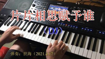 [图]电子琴《片片相思赋予谁DJ版》